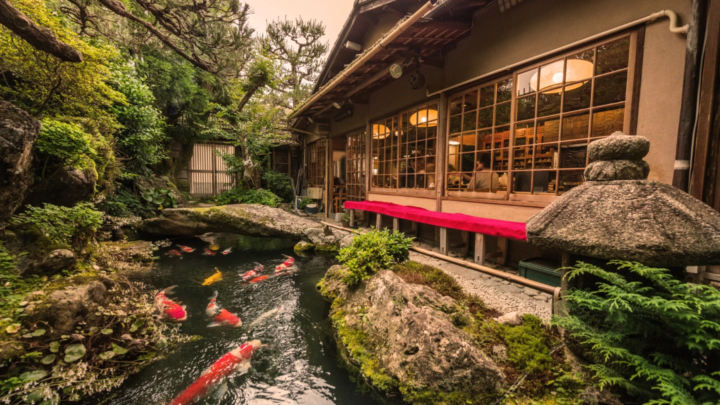 Japanese garden with koi carp