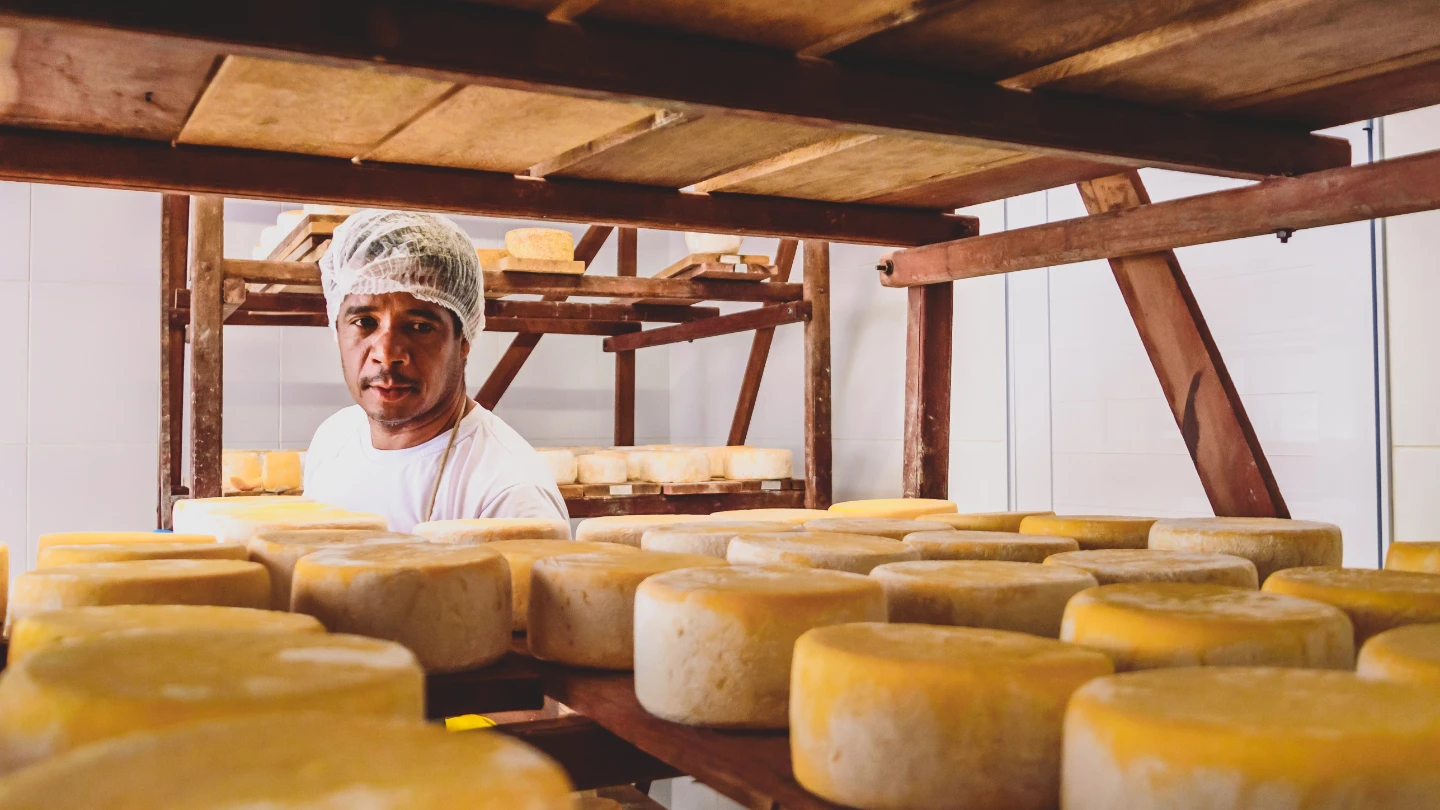 Worker examining rows of cheese on a shelf